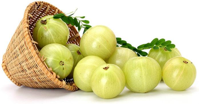 নিয়মিত একটি আমলকী খান, আর পাবেন এই ভয়ানক রোগ থেকে মুক্তি! নিয়মিত একটি আমলকী খান, আর পাবেন এই ভয়ানক রোগ থেকে মুক্তি!