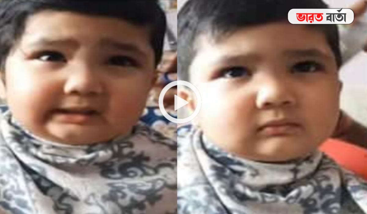 টাকলু হয়ে যাওয়ার ভয়ে চুল কাটতে গিয়ে কেঁদে ভাসালো পুঁচকে, ভাইরাল ভিডিও টাকলু হয়ে যাওয়ার ভয়ে চুল কাটতে গিয়ে কেঁদে ভাসালো পুঁচকে, ভাইরাল ভিডিও