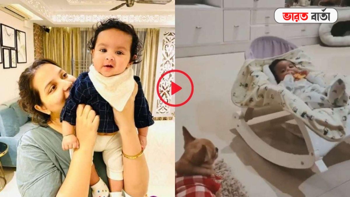 ছোট্ট ইউভানের সঙ্গে খেলা করছে তার 'ডগি' দাদা, শেয়ার হতেই তুমুল ভাইরাল ভিডিও ছোট্ট ইউভানের সঙ্গে খেলা করছে তার 'ডগি' দাদা, শেয়ার হতেই তুমুল ভাইরাল ভিডিও