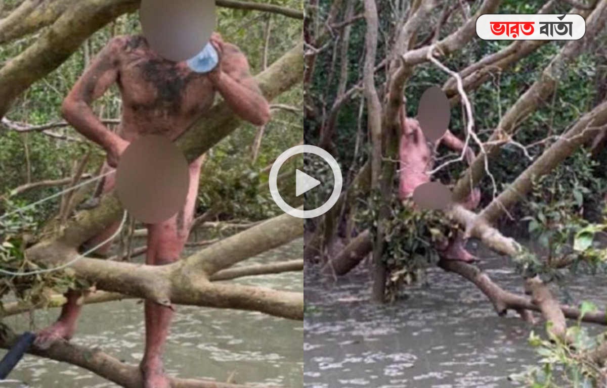 কুমিরে ভরা জলাভূমি থেকে নগ্ন অবস্থায় এক ব্যক্তি উদ্ধার, ভিডিও ভাইরাল হতেই অবাক বিশ্ব কুমিরে ভরা জলাভূমি থেকে নগ্ন অবস্থায় এক ব্যক্তি উদ্ধার, ভিডিও ভাইরাল হতেই অবাক বিশ্ব
