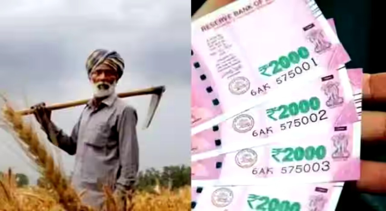 Pm kisan: এই কাজটি করলেই আপনার ব্যাংক অ্যাকাউন্টে টাকা পাঠাবে কেন্দ্র সরকার, জানুন কি করতে হবে আপনাকে