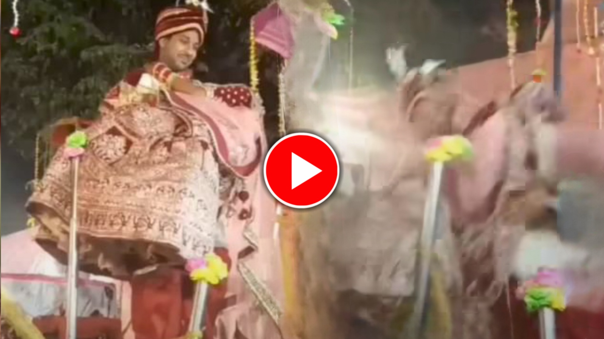 Viral: বউ বিয়ের মন্ডপে নিয়ে যেতে গিয়েই এ কি কান্ড ঘটালেন বর! দেখেই হাসছে গোটা মিডিয়ামহল Viral: বউ বিয়ের মন্ডপে নিয়ে যেতে গিয়েই এ কি কান্ড ঘটালেন বর! দেখেই হাসছে গোটা মিডিয়ামহল