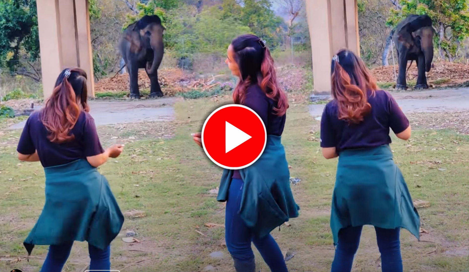 যুবতীর নাচের স্টেপে পা মেলালো স্বয়ং গজরাজ, ভাইরাল ভিডিও দেখে অবাক হবেন আপনিও