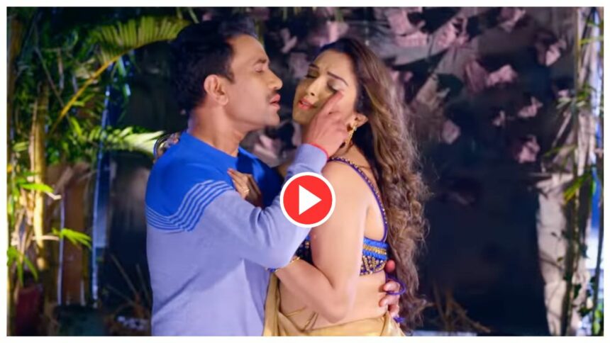 Bhojpuri Song: 'দহকে বাদান জরে জিয়া'র তালে রোমান্টিক আম্রপালি-দীনেশ, মজেছে নেটদুনিয়ার একাংশও