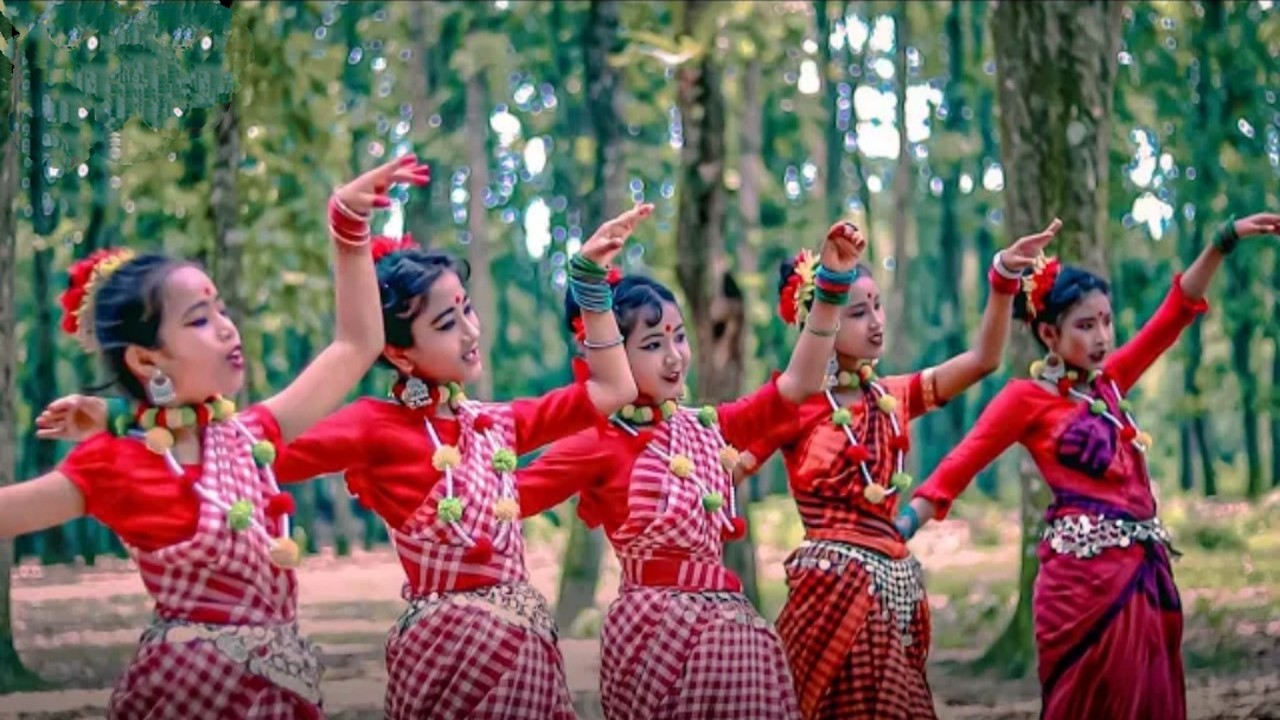 Viral: পাহাড়ি জঙ্গলে নৃত্য পরিবেশনা ৫ কন্যার, ভিডিও ভাইরাল সোশ্যাল মিডিয়ায়