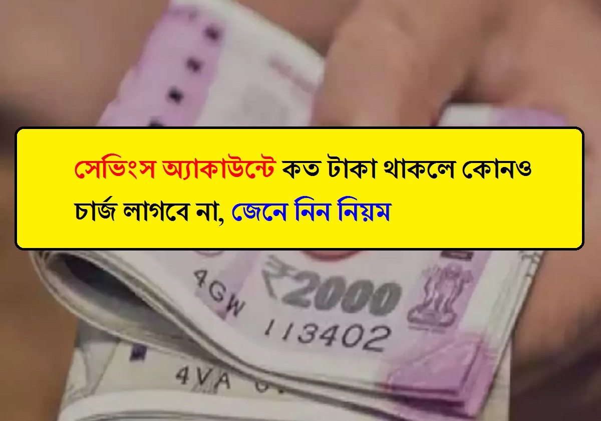 সেভিংস অ্যাকাউন্টে কত টাকা থাকলে কোনও চার্জ লাগবে না, জেনে নিন নিয়ম