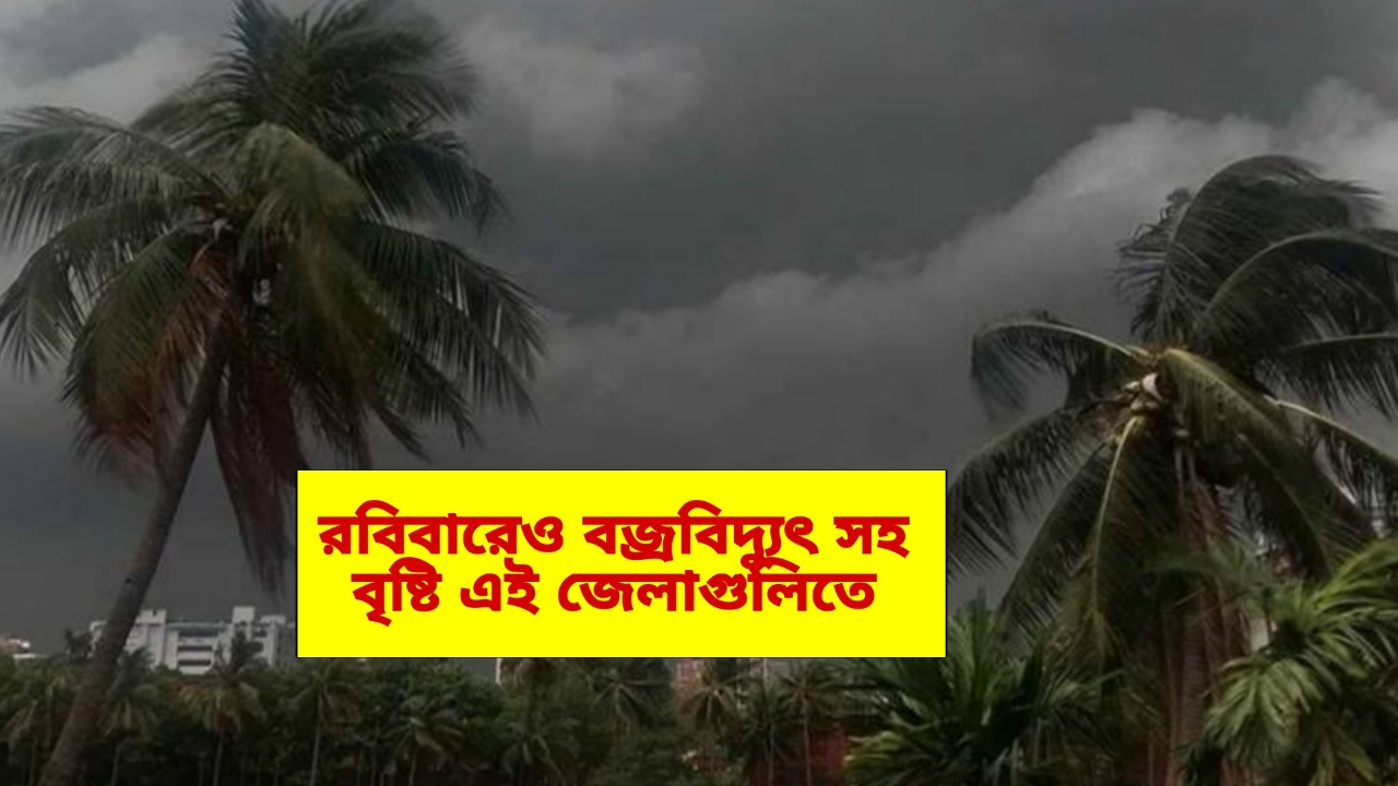 Weather Update: রবিবারেও বজ্রবিদ্যুৎ সহ বৃষ্টি, ঝোড়ো হাওয়া, কবে আবার পড়বে গরম, বড় আপডেট হাওয়া অফিসের