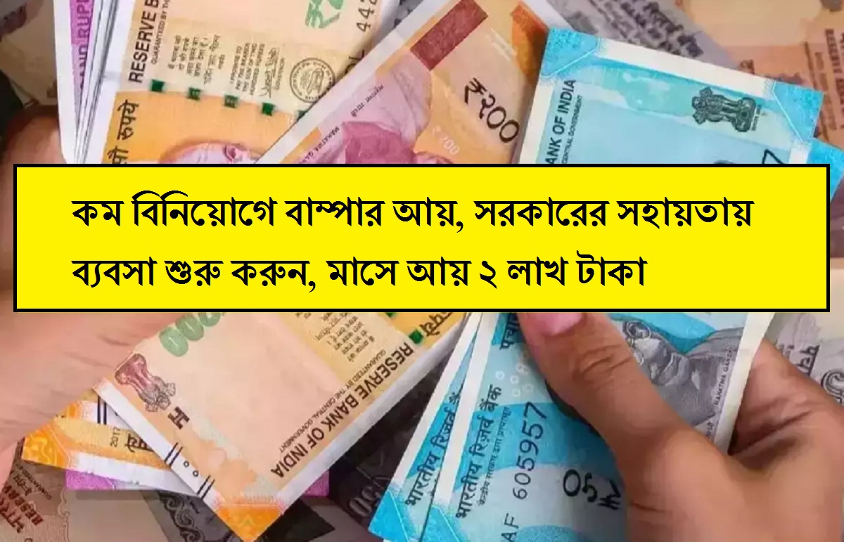 Business Idea: কম বিনিয়োগে বাম্পার আয়, সরকারের সহায়তায় ব্যবসা শুরু করুন, মাসে আয় ২ লাখ টাকা