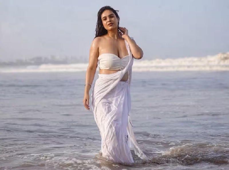 Neha Malik: সাদা শাড়িতে সমুদ্রের ধারে আবেদনময়ী পোজে নেহা মালিক, দেখুন তার অসাধারণ ছবি