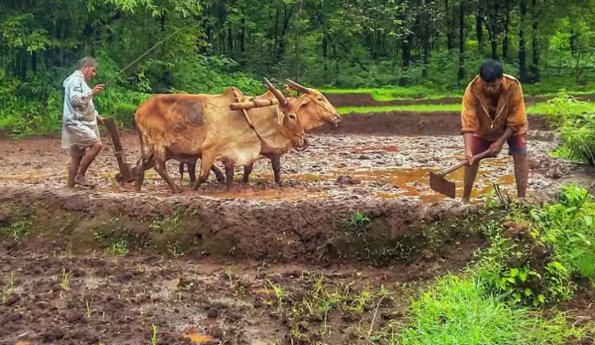 আপনার একাউন্টে জমা হবে ২,০০০ টাকা, এক্ষুনি করুন এই কাজটা